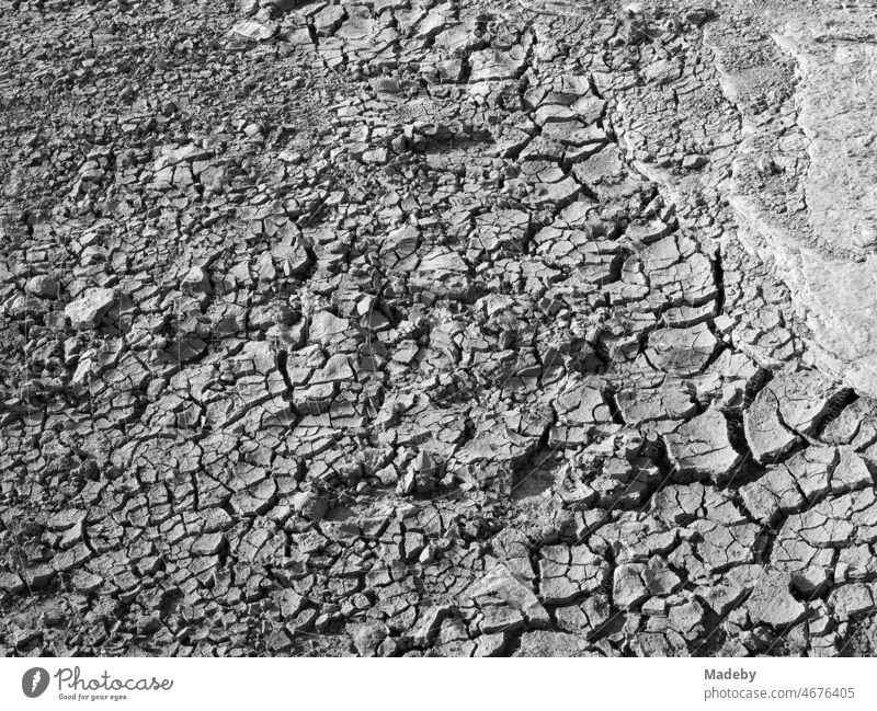 Cracked soil in summer sunshine and great drought at the Pink Rocks in Kefken on the coast of the Black Sea in Turkey, photographed in classic black and white