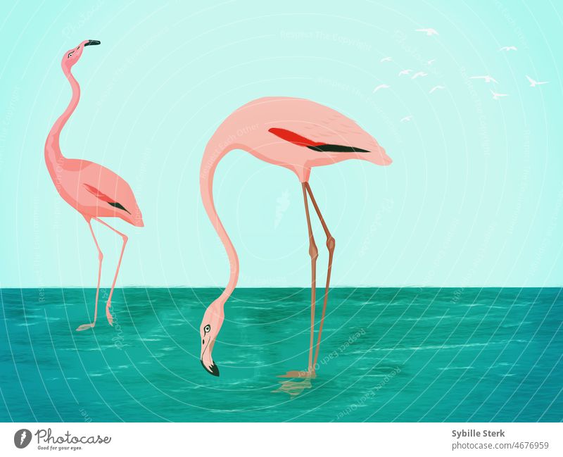 flamingo bird flamingoes birds pair couple water sea river sky waves pink rose