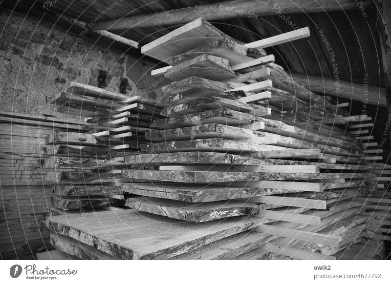 shift Wood Stack Practical Detail Structures and shapes Black White Simple Firm Unwavering Sharp-edged Attachment Deserted Contrast Collection pile Cut