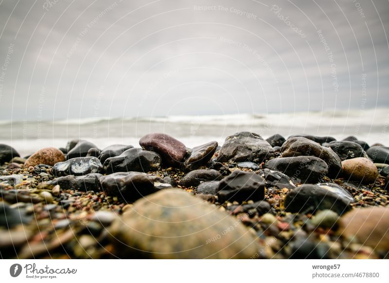 Large and small shiny wet stones on a beach section of the steep coast of Rügen Stones on the beach Beach Baltic Sea big and small Boulders Nature Landscape