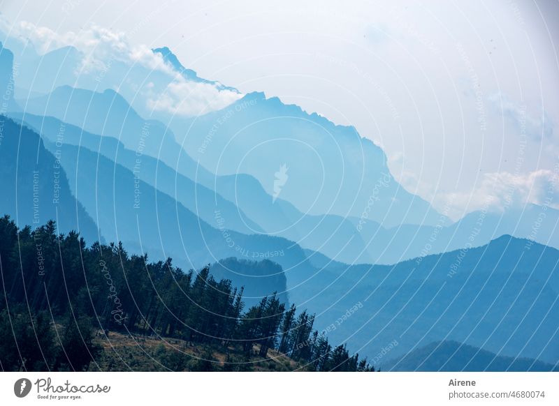 Mountain Stories Peak Blue Panorama (View) Silhouette Alps Sky Far-off places Landscape Wanderlust Beautiful weather Clouds Nature Prongs Massive Tall Large