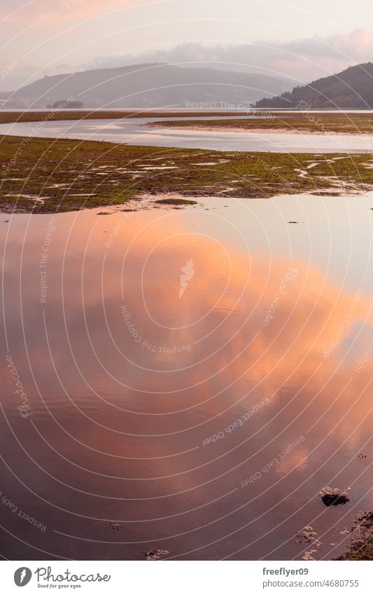 Swamp with mud at sunset swamp wetlands peat nature landscape flora fauna environment green low tide reeds panorama outdoors water marshland reserve natural