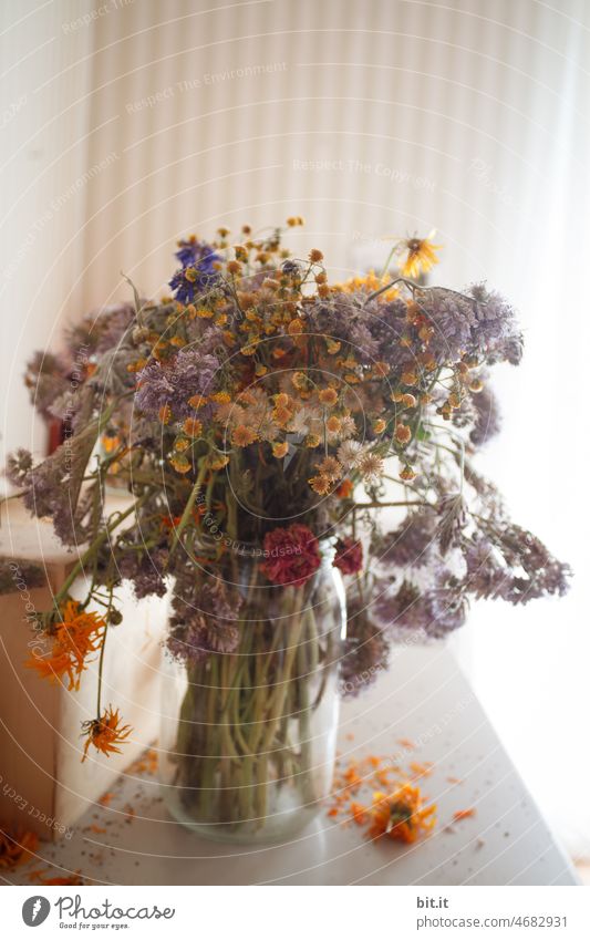 Dried Wildflowers Bouquet Royalty-Free Images, Stock Photos