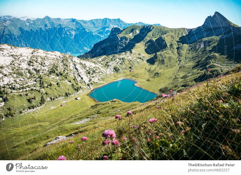 Mountain lake against mountain backdrop mountain lake flowers rotten horn saegistalsee Bernese Oberland Set Vantage point Hiking Alps Willow tree Meadow