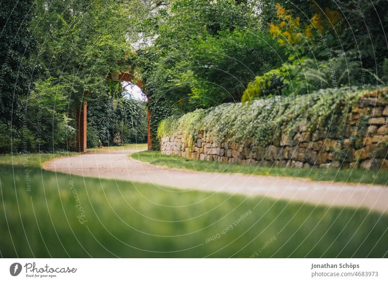 Path through overgrown stone gate off Stone gate Goal Overgrown Entrance Nature Ivy Lanes & trails Green brick Exterior shot Colour photo Deserted Plant Day