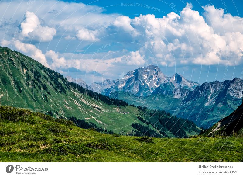 Mountain summer 2 Vacation & Travel Tourism Hiking Environment Nature Landscape Sky Clouds Summer Beautiful weather Tree Grass Meadow Rock Alps