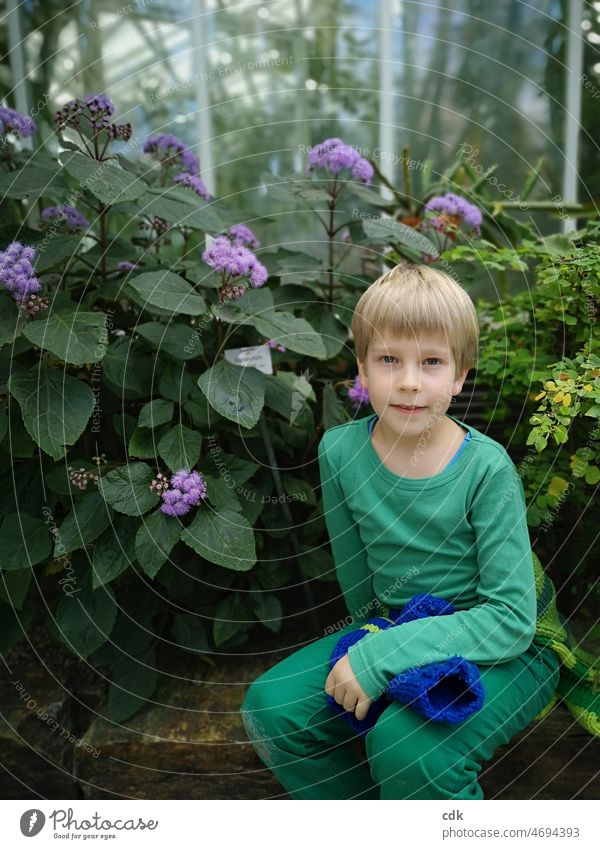 Childhood | trip to the botanical garden | sitting in the green. Boy (child) Blonde Fair-skinned sedentary Plant blossoms leaves Botanical gardens Greenhouse