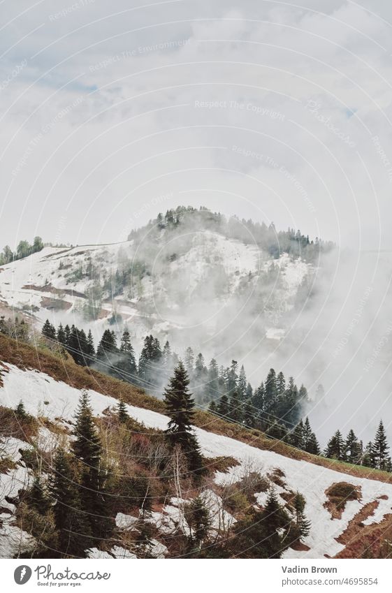 winter in the mountains snow landscape cold forest tree sky nature trees frost white ice road season ski frozen blue christmas fir snowy view scene cloud