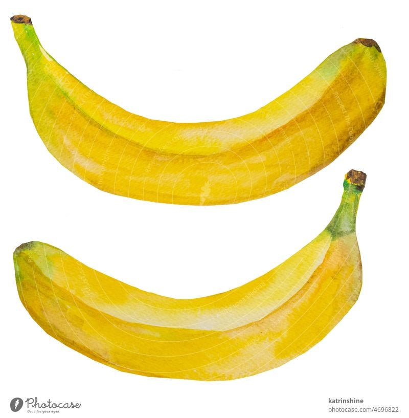 Watercolor yellow ripe bananas. Whole tropical fruit illustration Botanical Decoration Element Exotic Hand drawn Healthy Ingredient Isolated Ripe Summer bright