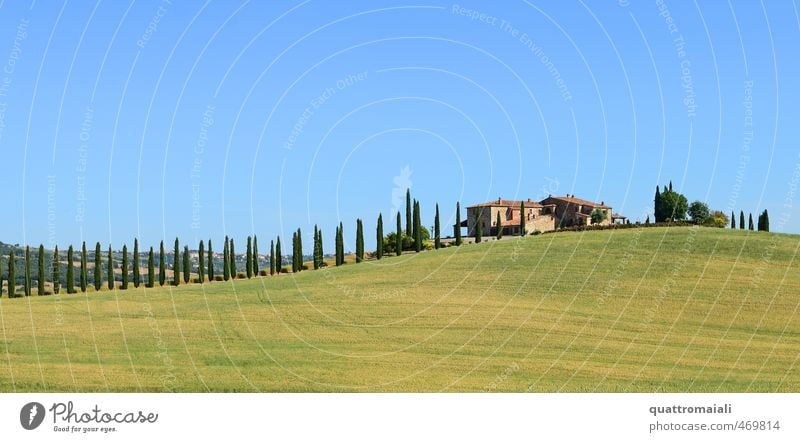 The classic in Tuscany Vacation & Travel Summer Sun Dream house Landscape Cloudless sky Beautiful weather Cypress Hill Italy Europe