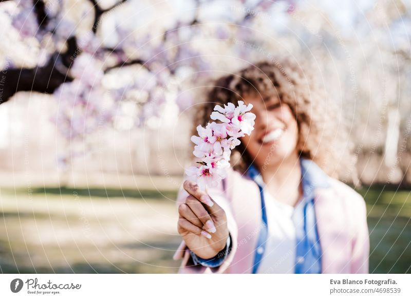 happy hispanic woman with afro hair in spring among pink blossom flowers. selective focus on flowers portrait close up almond tree colorful curly hair lifestyle