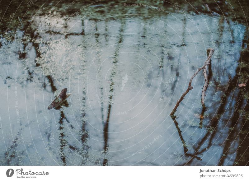 Forest reflection in pond Reflection Lake Pond Meadow Puddle Tree Wet Rain Rainwater Deluge Bleak Winter Blue Water Exterior shot Weather Nature Sky