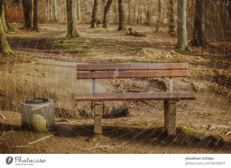 Park bench with wastebasket in forest Forest Analog Retro Lanes & trails To go for a walk out Nature trees Tree Relaxation Autumn Hiking Calm Deserted Landscape