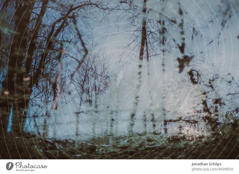 Forest reflection in pond Reflection Lake Pond Meadow Puddle Tree Wet Rain Rainwater Deluge Bleak Winter Blue Water Exterior shot Weather Nature Sky