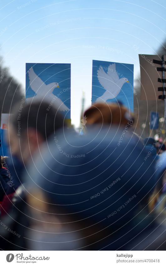 put.in jail! Ukraine war crimes Peace Stop Soldier Russia Hand Demonstration Protest Politics and state War demonstrate Exterior shot Society protest Sign