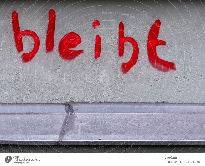 Sustainability - Red remains on gray wall constantly Graffiti stay at home Stay at home stays here Stays healthy definitively writing Characters Word