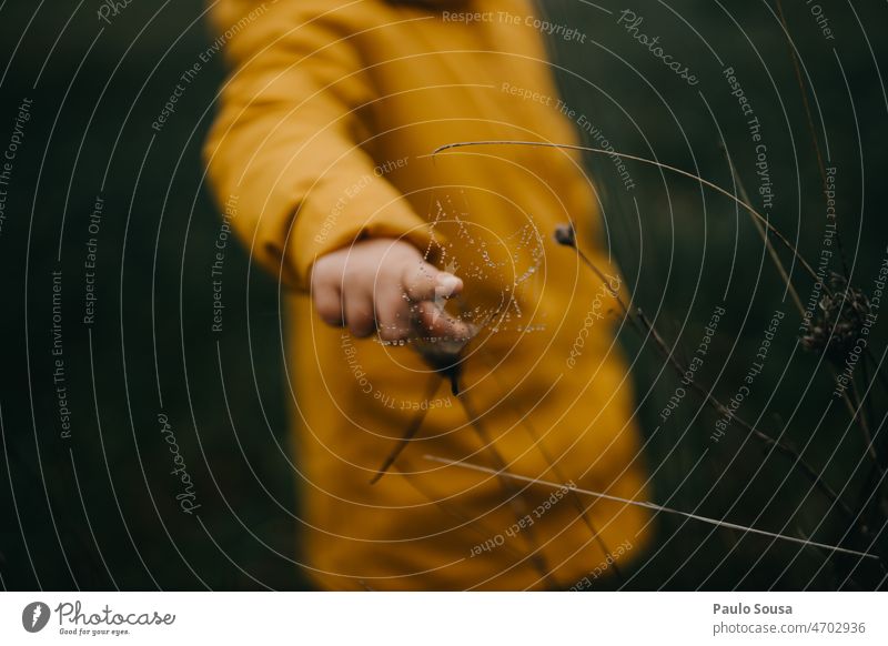 Child touching spider web Spider Spider's web Close-up Midsection Colour photo Nature Curiosity explore Net Exterior shot Detail Day childhood Natural