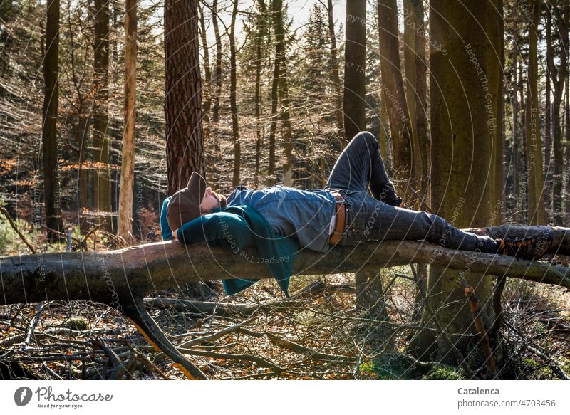 Young man in the forest resting on a tree trunk Hiking Nature person Environmental damage Plant Tree Storm damage burst cleaved Wind Gale Forest