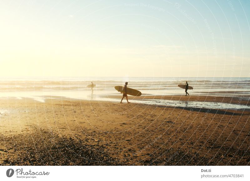 Surfers on Atlantic beach surf Ocean Atlantic Ocean coast Beach three Surfboard Going Carrying men Summer vacation Back-light Low tide Aquatics Surfers Paradise