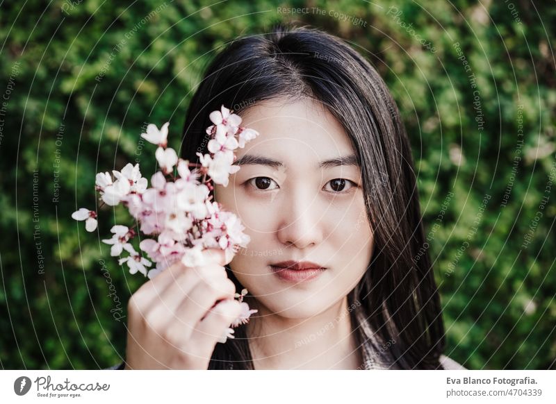 portrait of beautiful chinese asian woman holding almond tree flowers. Springtime outdoors spring nature city oriental young green adult blossom day face