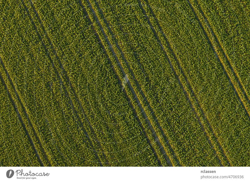 Farmland from above - aerial image of a lush green filed - view from a drone field farm grass crop agriculture tractor harvest seed lines cloud countryside