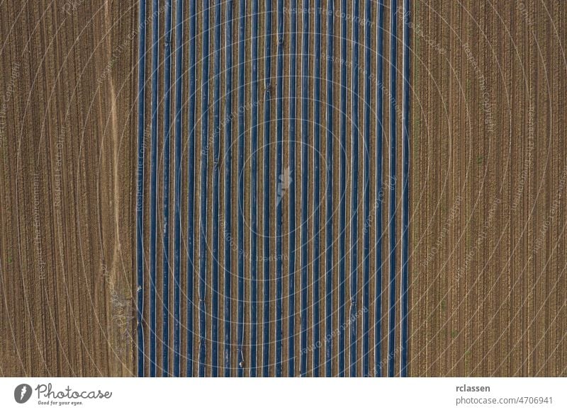Aerial view, asparagus fields, asparagus covered with black tarpaulin aerial view agricultural agriculture brown plowed countryside crop cultivation earth