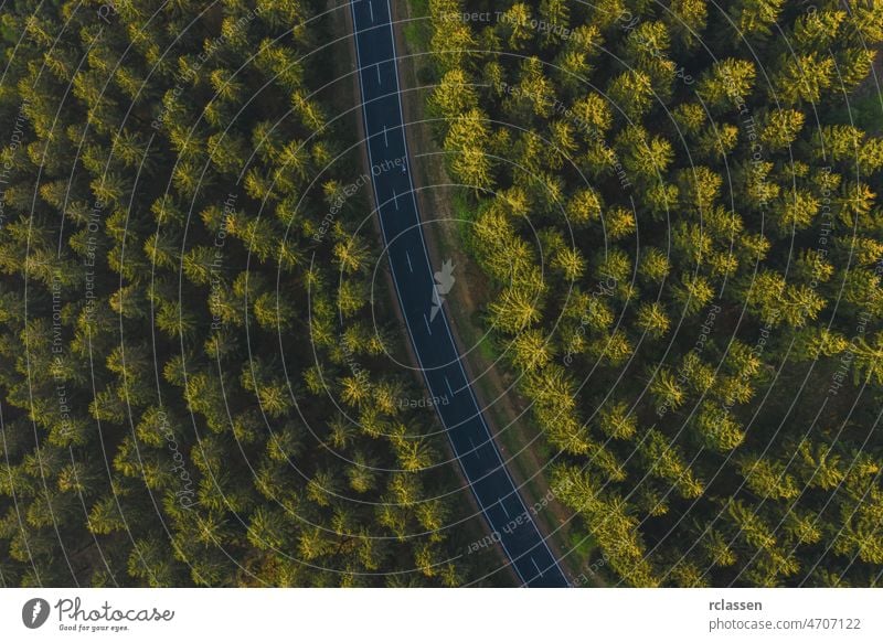 Aerial top view over mountain road going through forest. aerial drone eye curve landscape nature curvy adventure green country birdseye car asphalt grass
