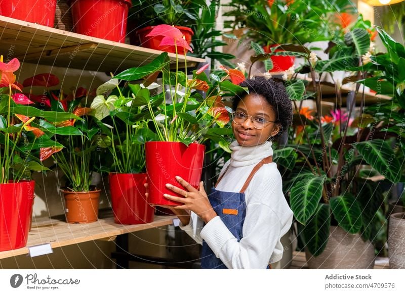 Smiling black woman with Anthurium flowers anthurium floral shop florist smile happy work plant floristry delight flowerpot industry professional store job