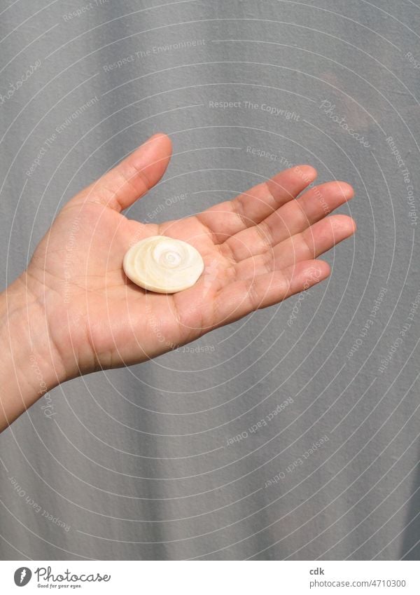 Take in hand. Hand Palm of the hand Fingers Stone palm open upwards gesture Gestures Hand posture symbolism Drawing Spiral Pattern Bright sunny Gray naturally