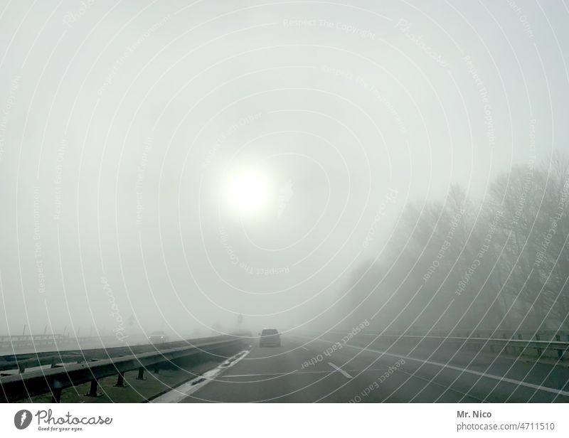 Morning fog on the highway Highway Fog Transport Street Vacation & Travel Car Traffic infrastructure Motoring Misty atmosphere Sun Gray morning mood