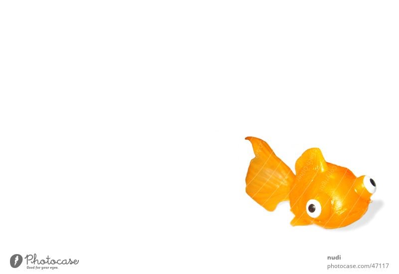 blubber Toys Animal Goldfish Fish Orange Statue Eyes Water wings Shadow plastic Bubble