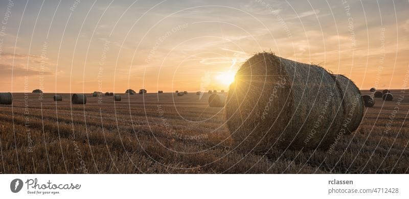 Sunset over farm field with hay bales germany rural agriculture landscape fall barley autumn farming farmland corn cornfield grass orange travel grain gold