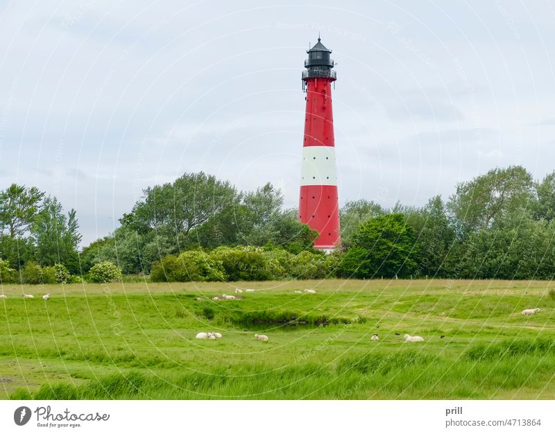 Lighthouse at Pellworm pellworm lighthouse beacon north frisia germany north sea northern germany tower coast lake pond grass vegetation tree architecture