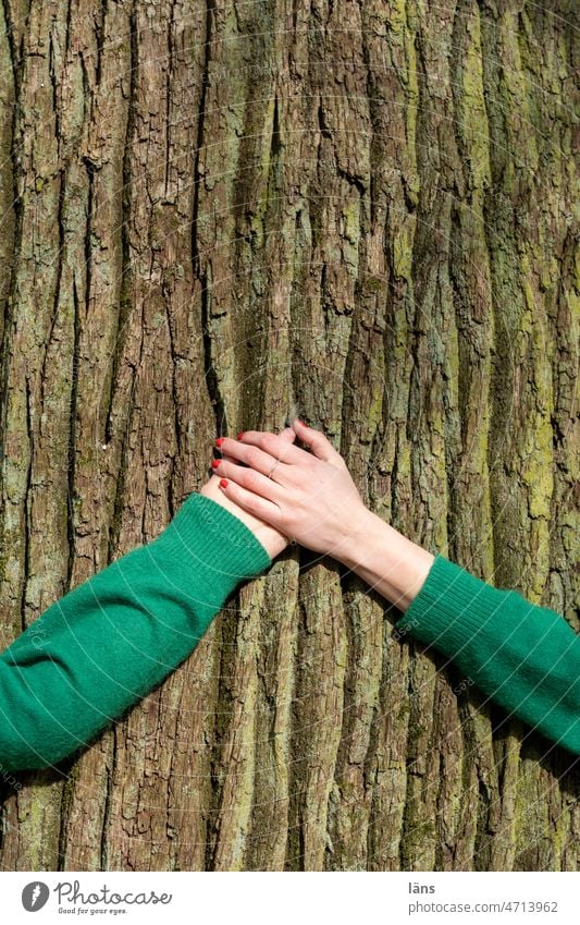 hand in hand hands at the same time Touch Hold hands comprehensive Tree tree-loving Related Hand To hold on Love Safety (feeling of) Emotions in common