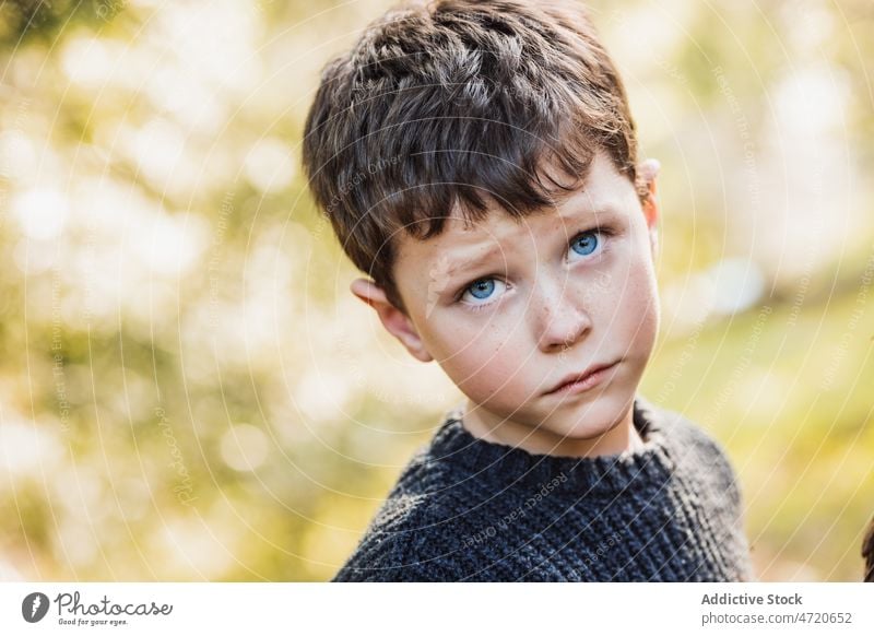 Cute little boy with freckles looking at camera kid forest child cute portrait charming appearance nature calm childhood human face headshot innocent gaze