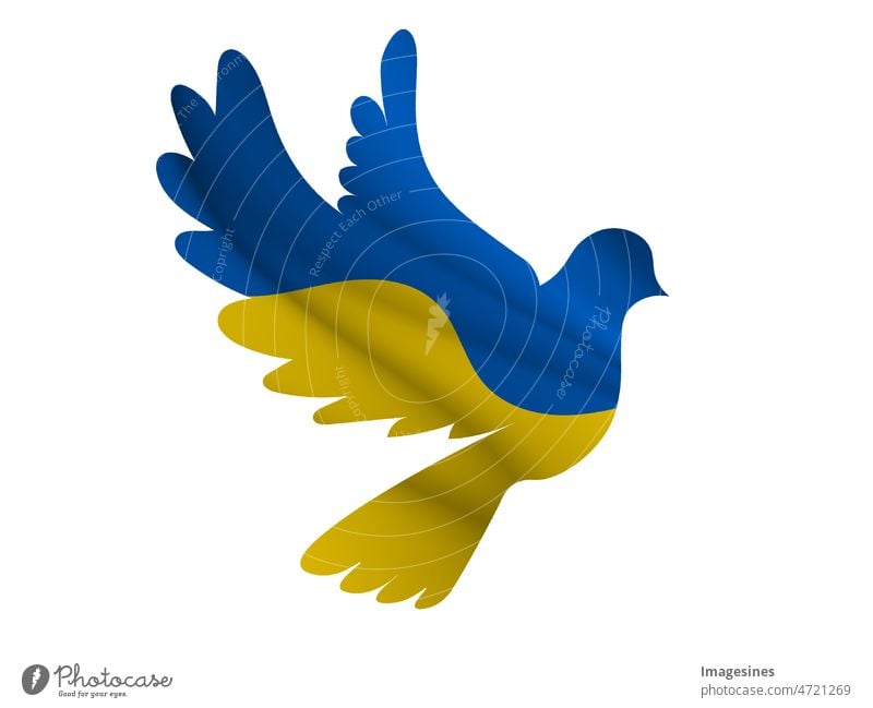 Silhouette einer Taube in den Farben der ukrainischen Flagge