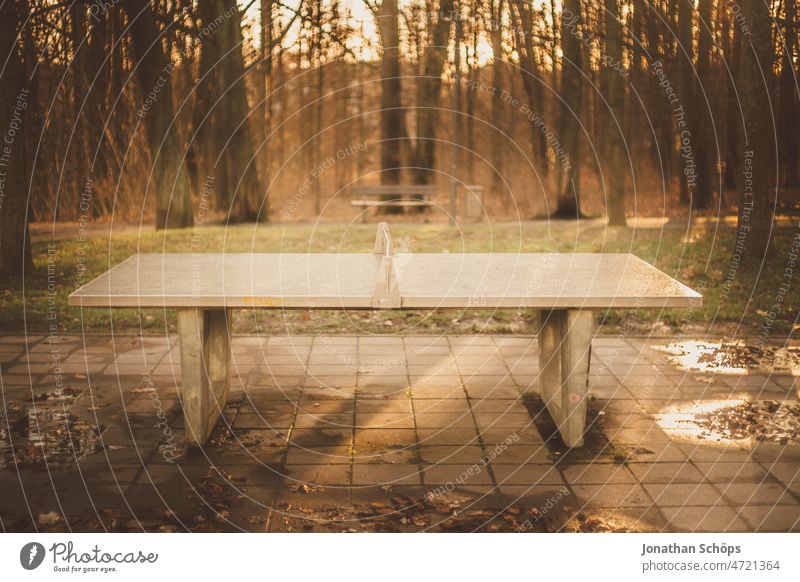 Table tennis table in forest Forest Back-light outdoor Outdoor plate stone slab Places Sports Public free time Chemnitz Leisure and hobbies Playing