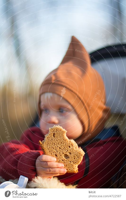 je oller, je doller l little boy with a pointed cap and an old, bitten slice of bread in his hand. Child Infancy Boy (child) Toddler 1 - 3 years Nature Bread
