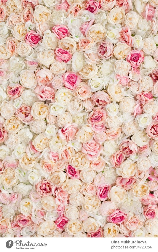 Flowers peonies and roses of cream white and pink colour palette on the wall, floral wallpaper background for a wedding reception or romantic event. Faux artificial flowers wall in pink colours.
