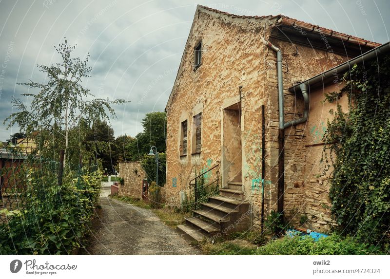 Sangerhausen Saxony-Anhalt Small Town Old town tranquility Deserted Central perspective Sidestreet Poverty Gloomy Facade Remote Cramped Calm Sky Clouds Stone