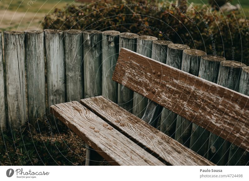 Wooden Park bench wooden Bench Wooden bench Exterior shot Day Relaxation Break Seating Deserted Green Empty Nature Colour photo Calm Loneliness Shadow Sit Plant