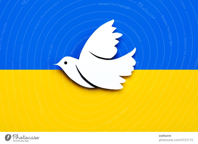 National flag of Ukraine background with a dove of peace. No war concept -  a Royalty Free Stock Photo from Photocase