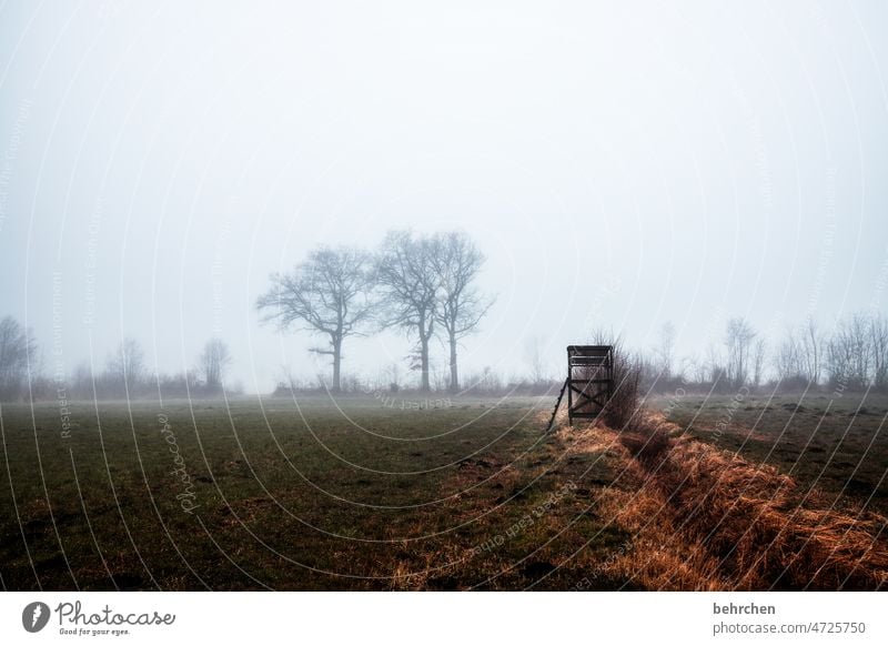 tristesse, mon amour Covered Dreary Hunting Blind Clouds Calm Environment Nature Cold chill Agriculture Lonely Loneliness acre Exterior shot Landscape Deserted