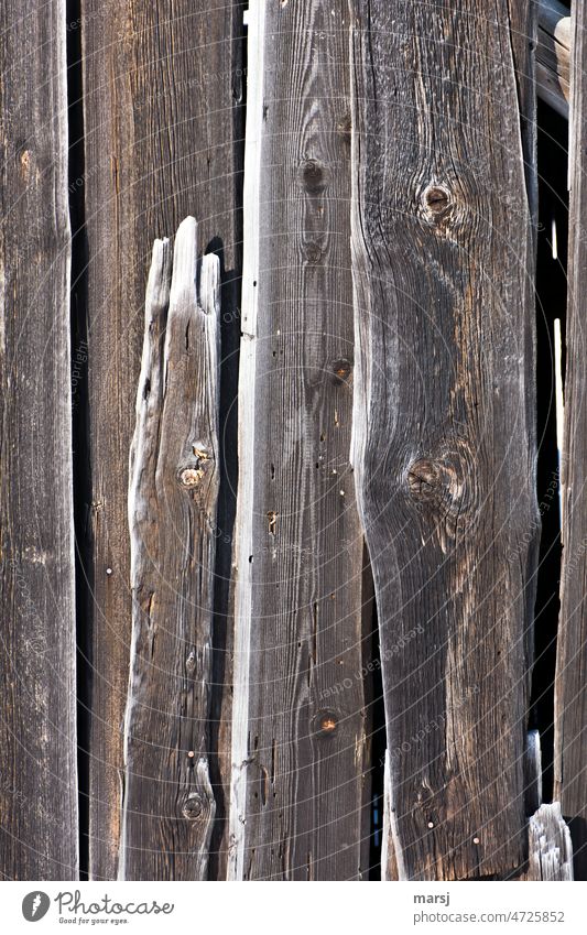 Boards with white border. Wood Brown Wooden board Pattern Wood grain Contrast Colour photo Weathered Patina Structures and shapes Regular Wooden wall Uniqueness