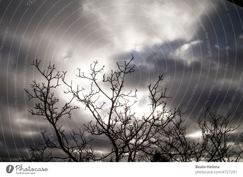 waiting for spring Spring Winter Wait Sky Dark Clouds Clouds in the sky Cloud formation branches Bleak Bad weather Deserted Weather Cloud field Cloud cover