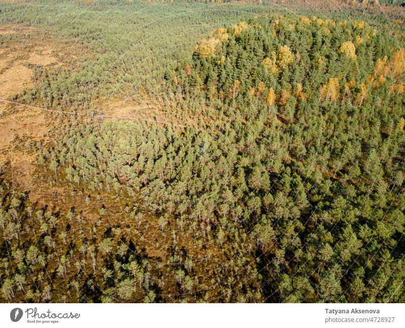 Swamp or bog with forest in Estonian nature reserve Kakerdaja autumn fall swamp marsh aerial hiking estonia trail landscape tree outdoor weather environment