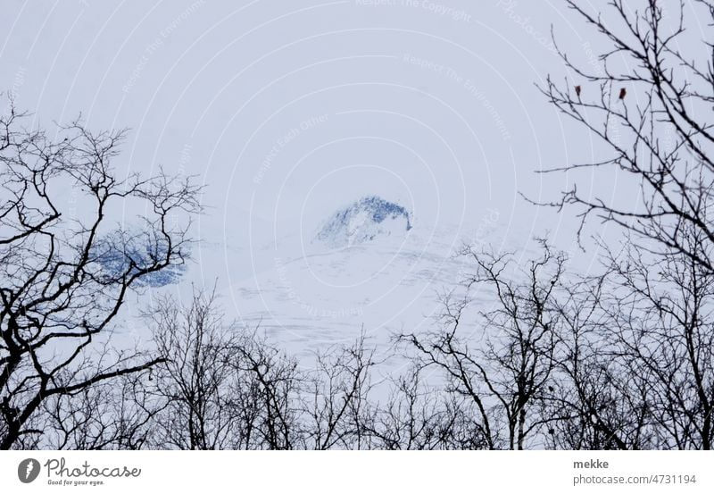 Snow covered mountain peak floating in sky framed by birch trees Mountain Winter Snowcapped peak Abyssinian National Park Swede birches Birch wood