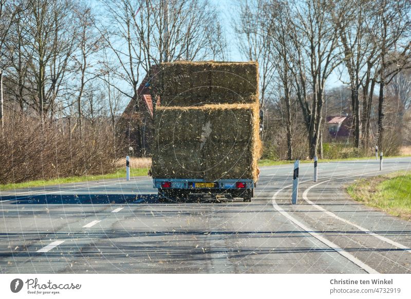The car in front of us on the country road has straw bales loaded and small pieces of straw swirl through the air towards us Bale of straw Transport straw bales