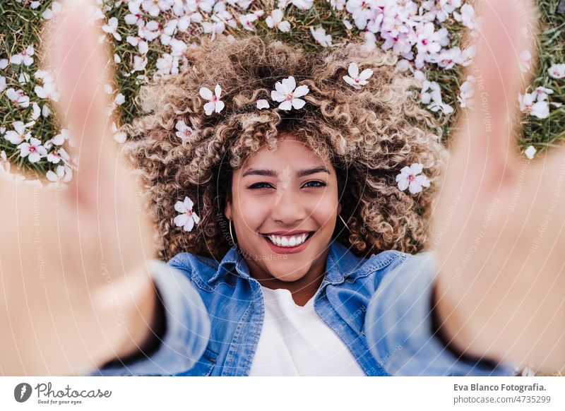 top view of happy hispanic woman with afro hair lying on grass among pink blossom flowers.Springtime dancing curvy body positivity park spring size portrait