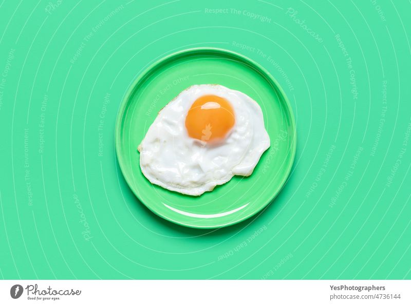 Fried egg on minimalist on a green background, view from above animal breakfast bright chicken cholesterol close-up color cooking copy space cuisine delicious